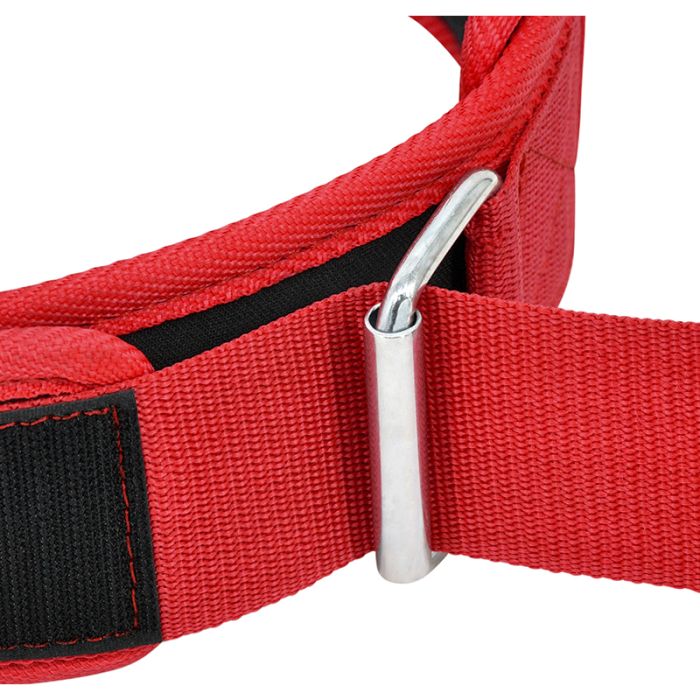 RDX RX5 Weightlifting Belt#color_red